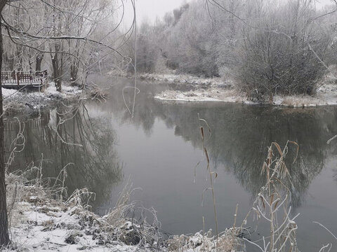 雪景