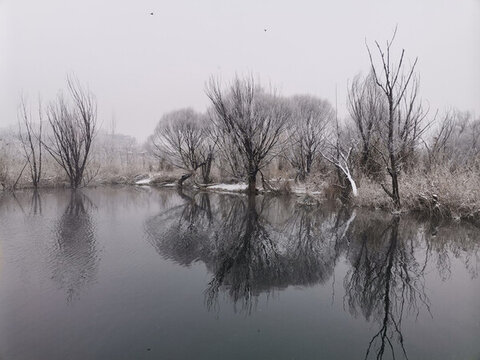 公園雪景