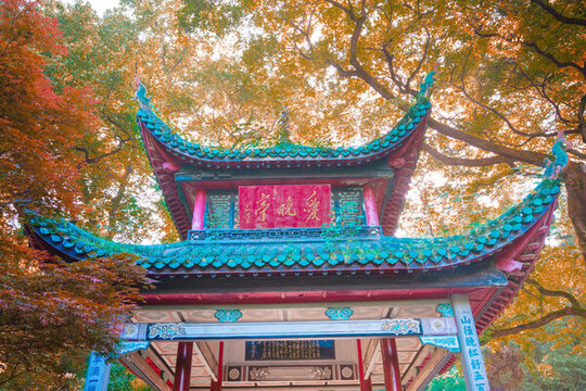 岳麓山愛(ài)晚亭紅葉