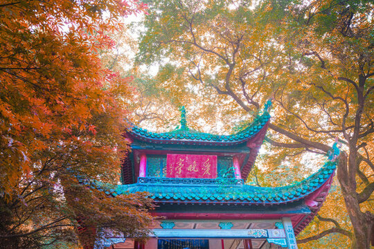 岳麓山愛晚亭紅葉