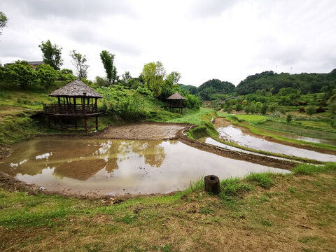 田園風光