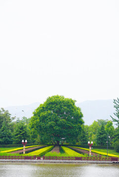 綠植建筑