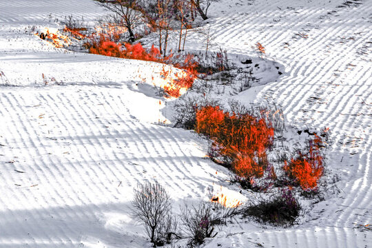 雪地白雪