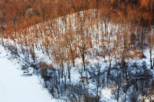 雪地白雪