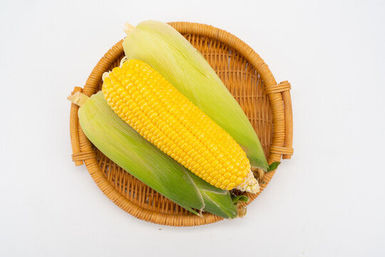 玉米