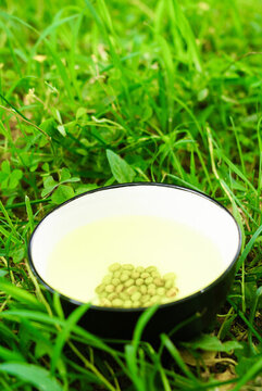 夏至綠茶