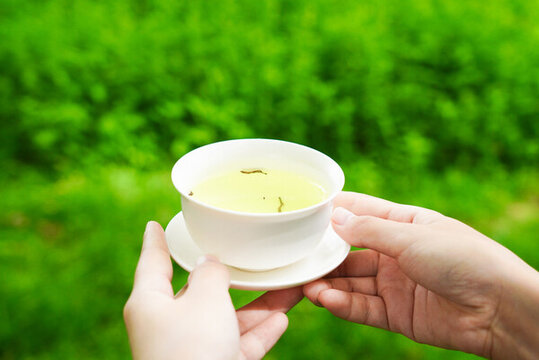 夏至綠茶