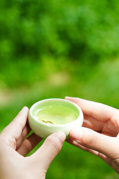 夏至綠茶