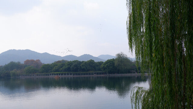 湖邊的景色