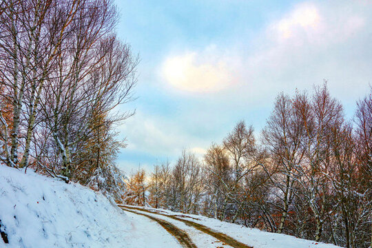 雪地白雪