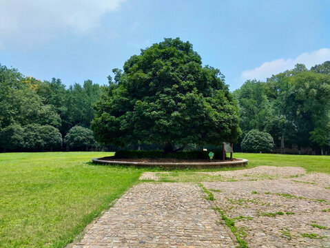 南京靈谷景區(qū)無梁殿