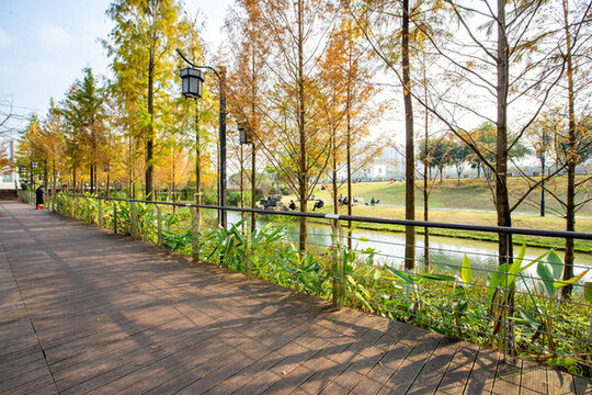 廣西蒙山濕地公園冬季風(fēng)景