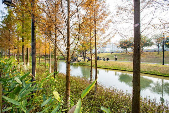 廣西蒙山濕地公園景美如畫
