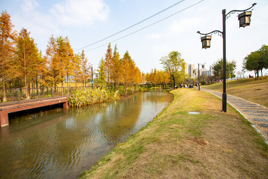 廣西蒙山濕地公園冬季風(fēng)景