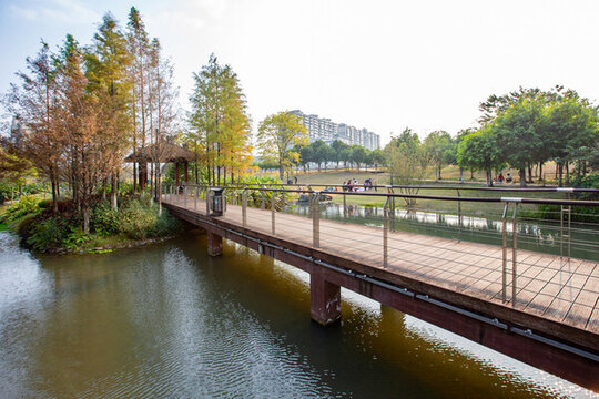 廣西蒙山濕地公園景美如畫