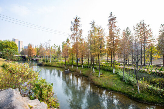 廣西蒙山縣濕地公園景美如畫