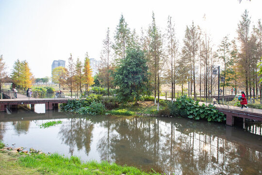 廣西蒙山縣濕地公園冬季景色