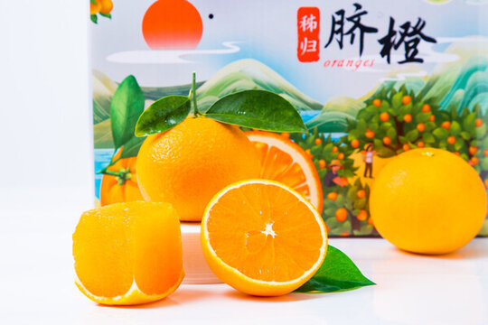 秭歸九月紅臍橙