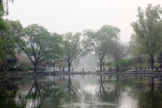 湖景
