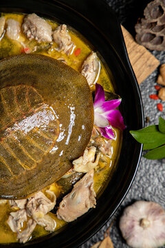 燉甲魚(yú)土雞