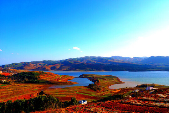 紅土地