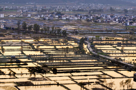 三川田園