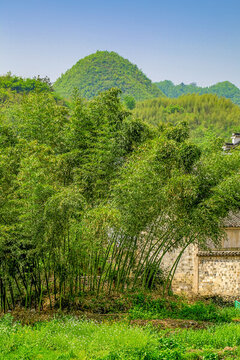 績(jī)溪仁里村田園風(fēng)光