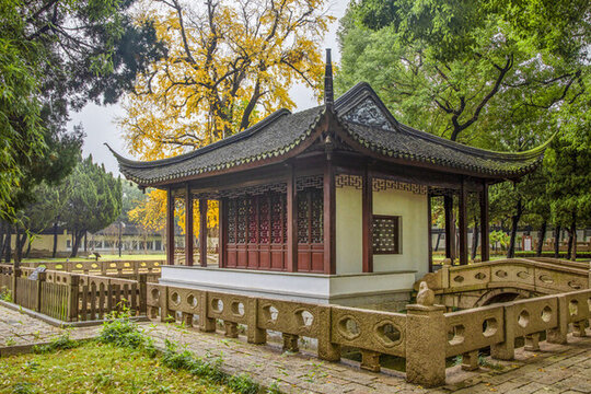 保圣寺千年銀杏