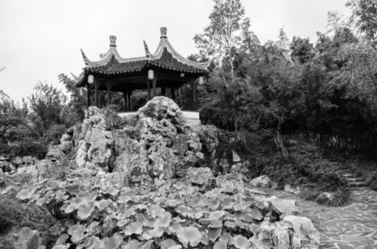 園林景觀