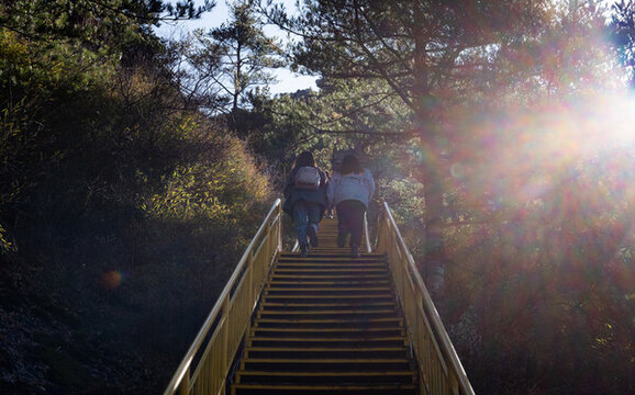 西安朱雀國(guó)家森林公園