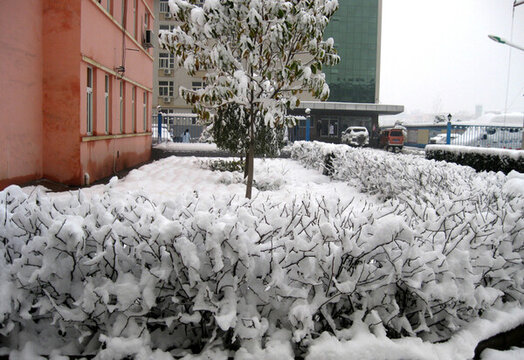 大雪過后