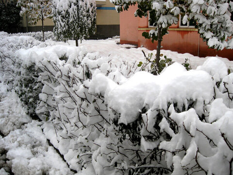 積雪