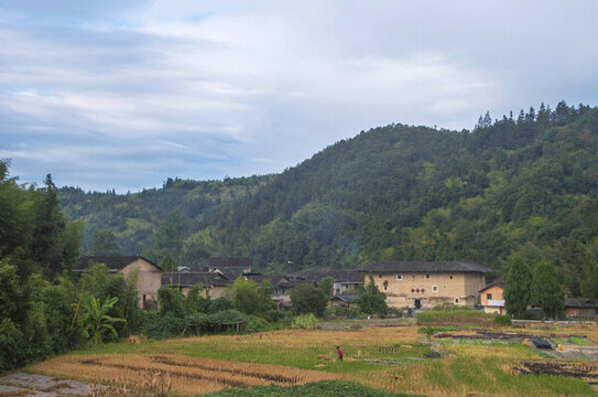 農(nóng)忙山野之景