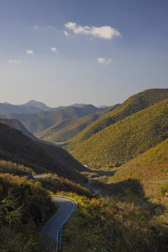 山路彎彎