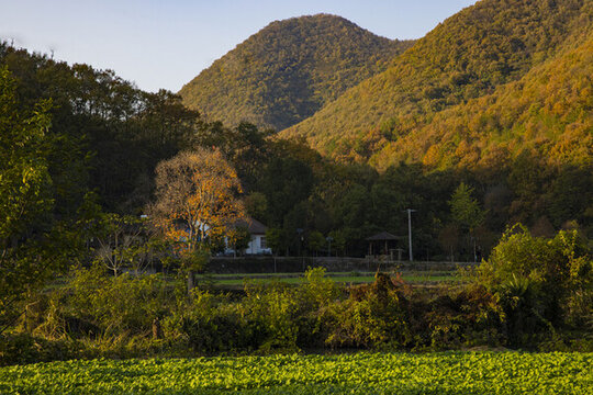 風(fēng)光專集