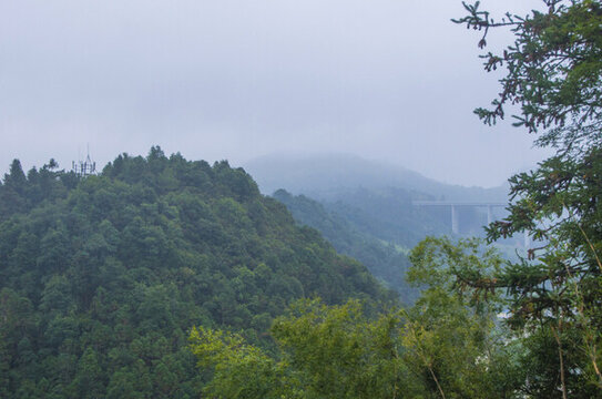 霧天高山