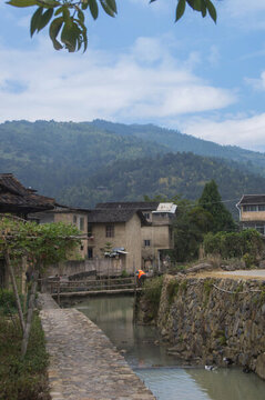 河坑村
