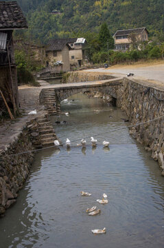 河坑村小溪