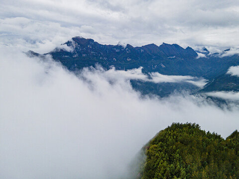 蘭英大峽谷高山