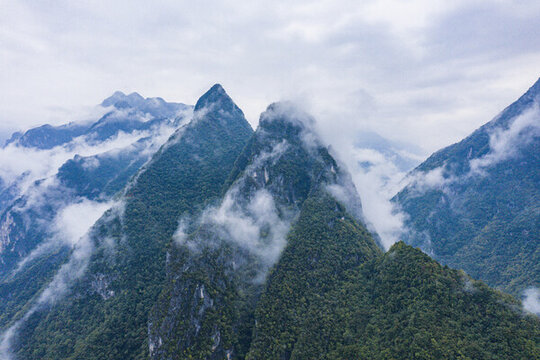 高山森林云霧