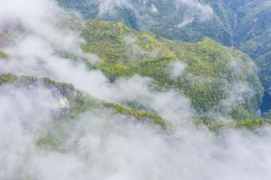 高山云霧