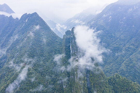 高山云霧