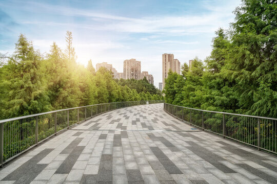 道路地面和公園自然風(fēng)景