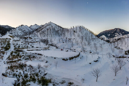 杭州臨安山核桃樹雪景風(fēng)光