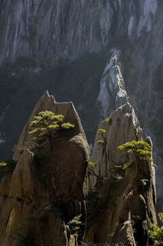 黃山風(fēng)景