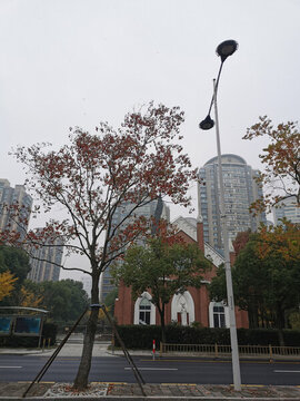 城市路景