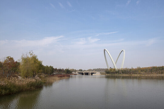 濕地公園