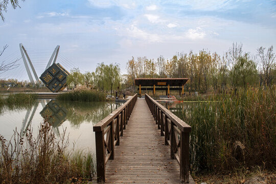 濕地公園
