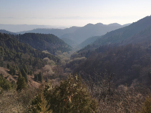 山巒疊嶂