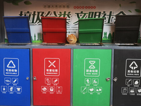 垃圾筒上的貓咪